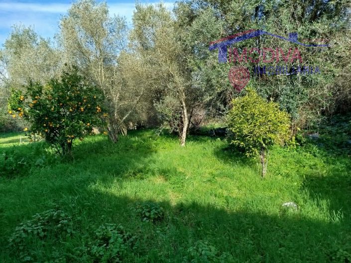 Image No.32-2 Bed House for sale