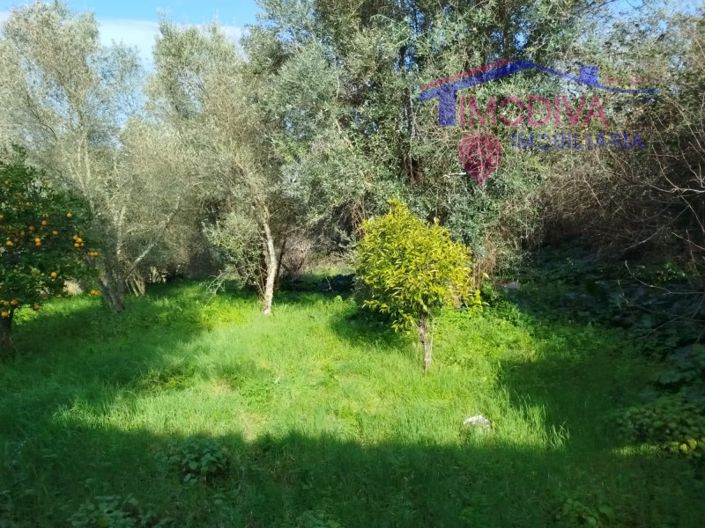 Image No.33-2 Bed House for sale