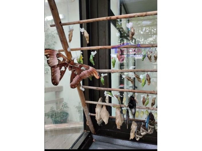 Image No.37-2 Bed House for sale