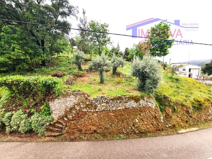 Image No.50-3 Bed House for sale