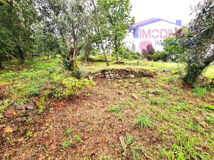 Image No.51-3 Bed House for sale