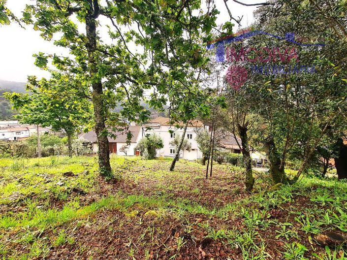 Image No.53-3 Bed House for sale