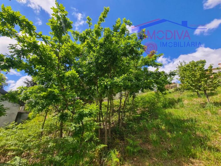 Image No.14-1 Bed House for sale