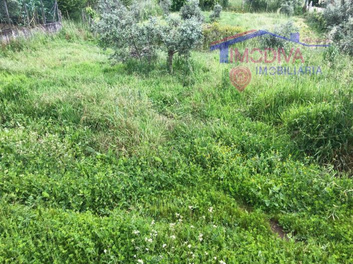 Image No.29-2 Bed House for sale