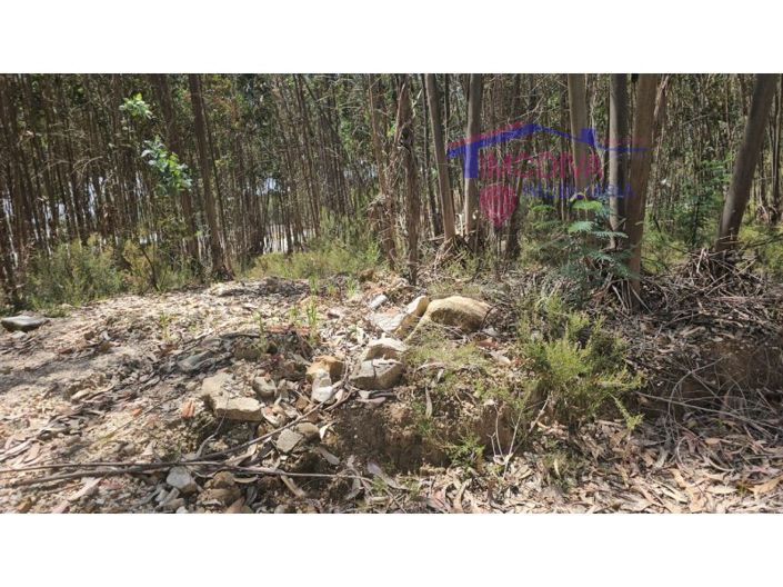 Image No.2-Plot for sale