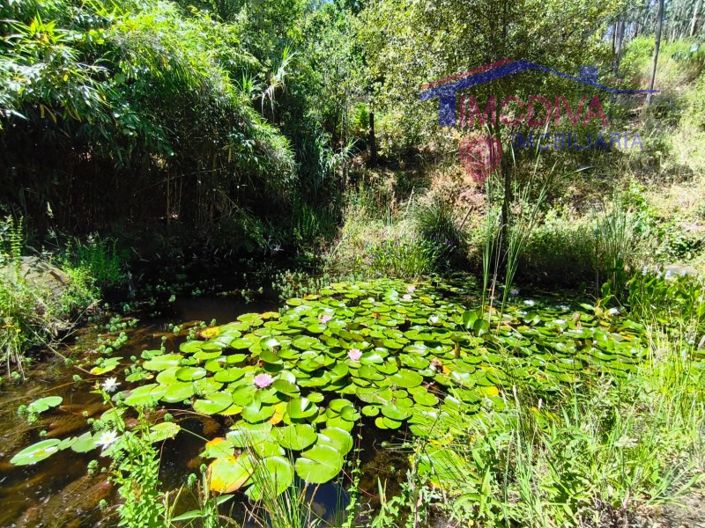 Image No.14-3 Bed House for sale