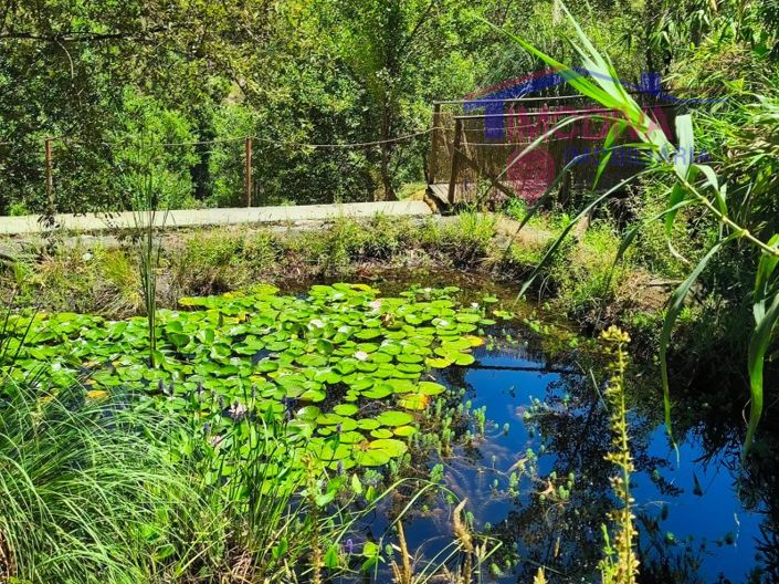 Image No.16-3 Bed House for sale