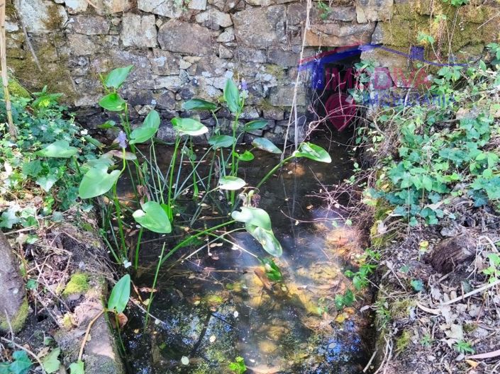 Image No.17-3 Bed House for sale