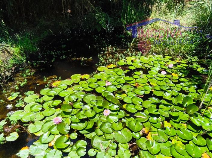 Image No.7-3 Bed House for sale