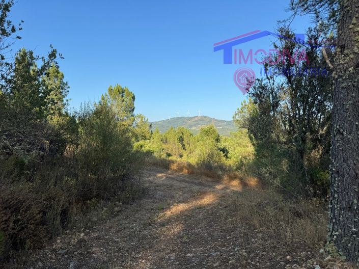 Image No.21-4 Bed House for sale