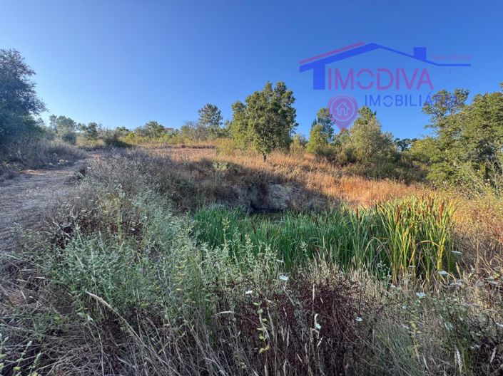 Image No.25-4 Bed House for sale