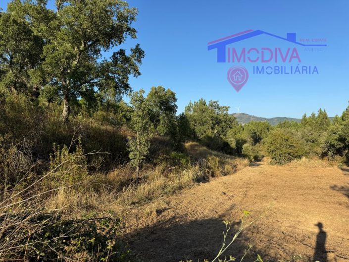 Image No.28-4 Bed House for sale