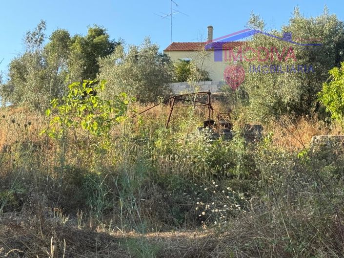 Image No.31-4 Bed House for sale