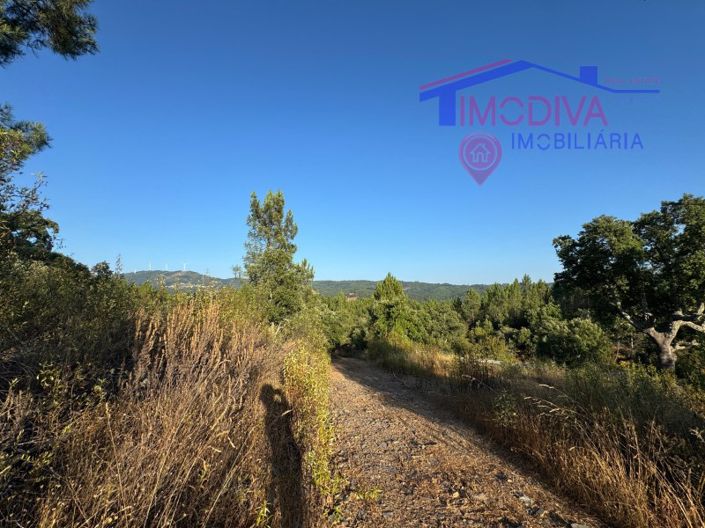 Image No.37-4 Bed House for sale