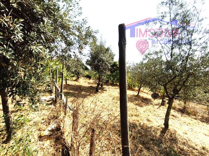 Image No.41-1 Bed House for sale