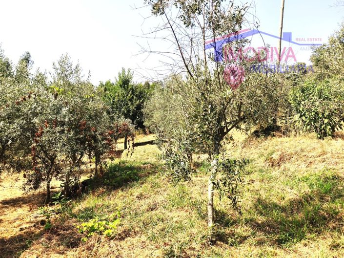 Image No.42-1 Bed House for sale