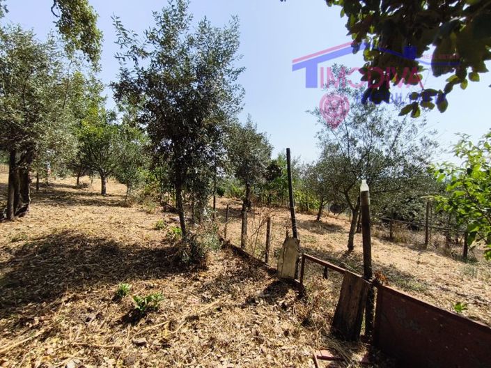 Image No.43-1 Bed House for sale