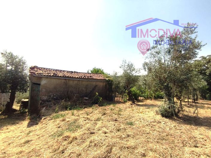 Image No.44-1 Bed House for sale