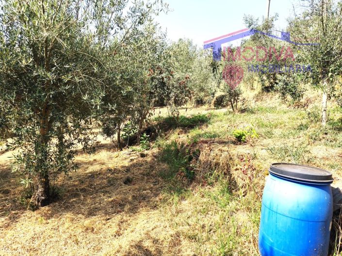 Image No.45-1 Bed House for sale