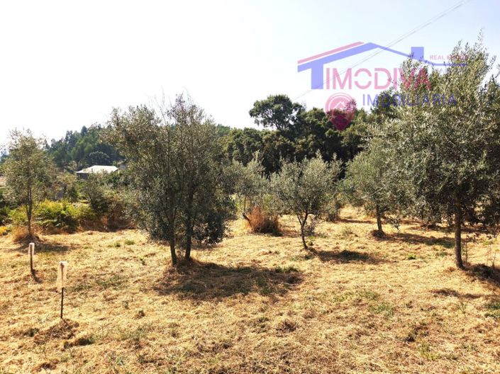 Image No.46-1 Bed House for sale