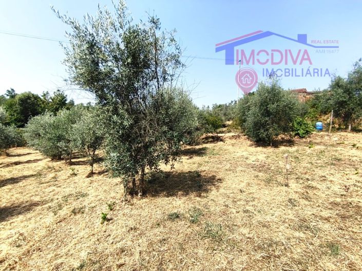 Image No.47-1 Bed House for sale