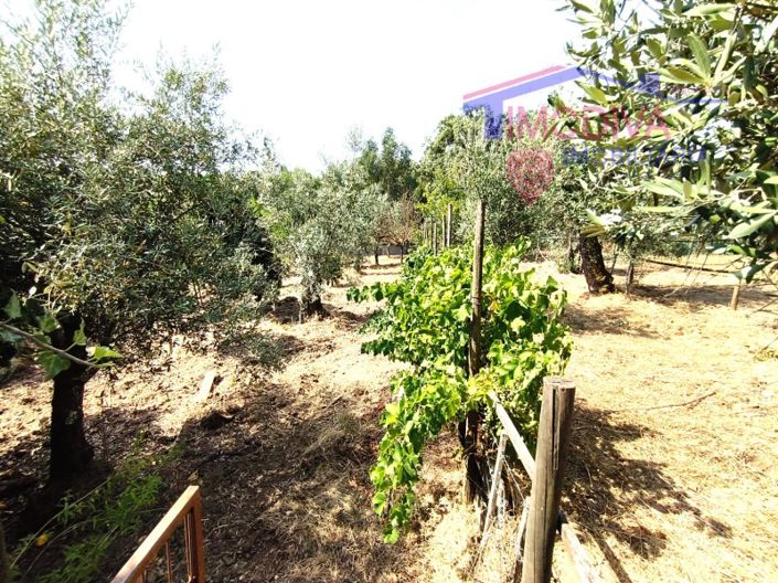 Image No.48-1 Bed House for sale