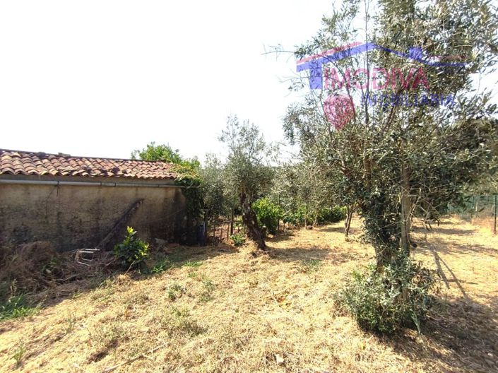 Image No.49-1 Bed House for sale