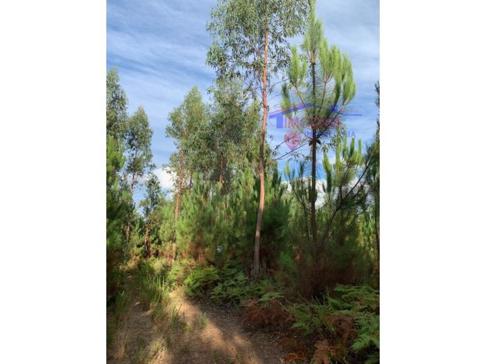 Image No.2-Plot for sale