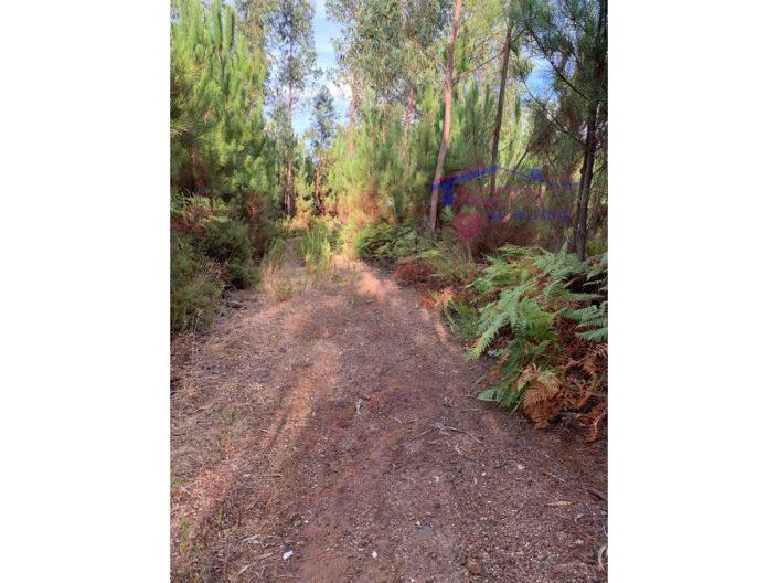 Image No.4-Plot for sale