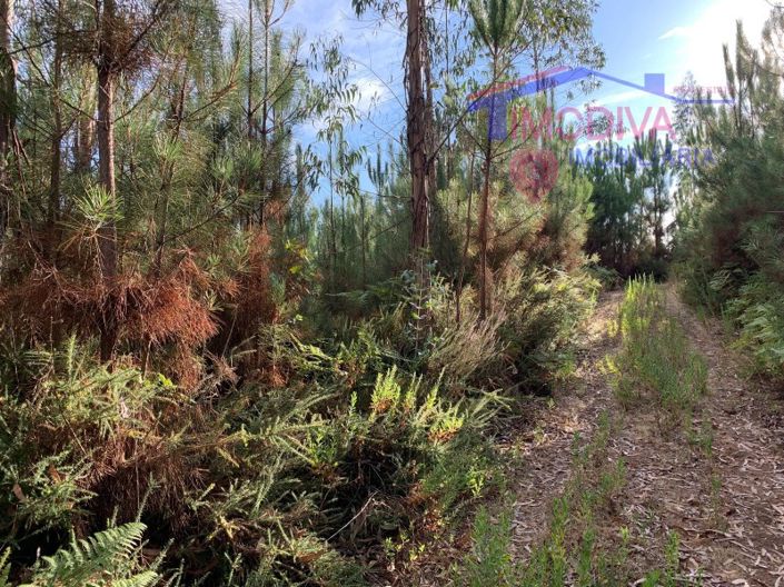 Image No.5-Plot for sale