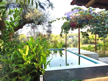 id2874ae01-0000-0500-0000-0000171fcd92