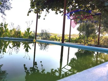 id2874ae01-0000-0500-0000-0000171fcd90