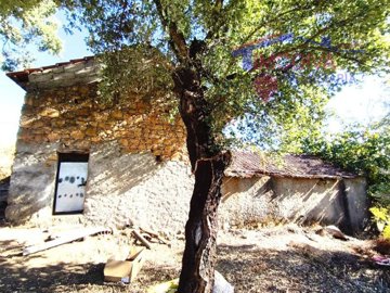 id31b2b201-0000-0500-0000-00001763f6ef