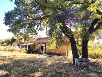 ImoDiva most sold property