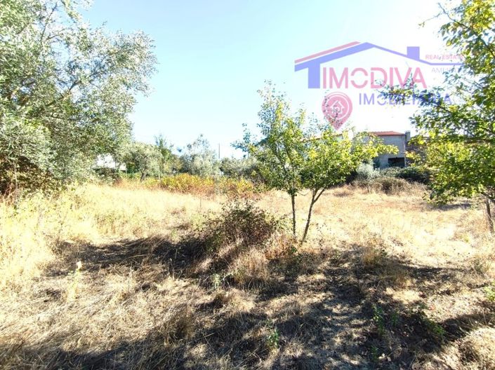 Image No.24-2 Bed House for sale