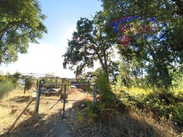 id31b2b201-0000-0500-0000-00001763f6d8