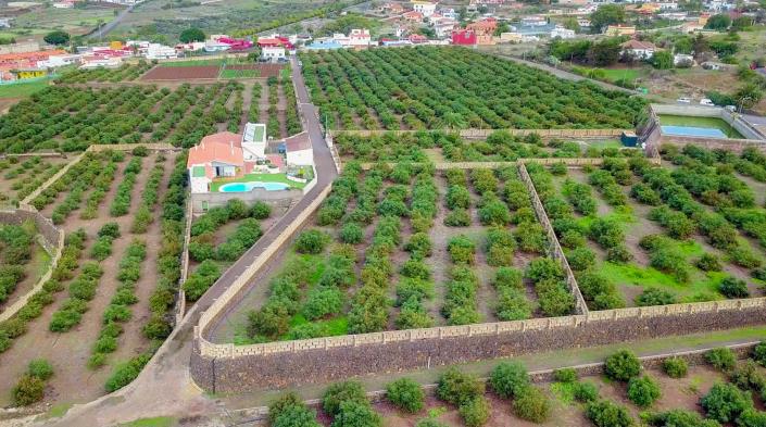 Image No.7-3 Bed Finca for sale