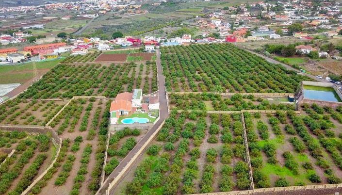 Image No.10-3 Bed Finca for sale