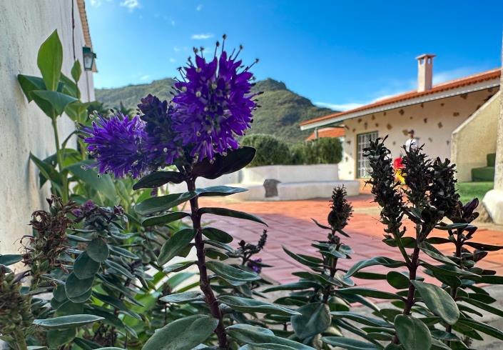 Image No.21-3 Bed Finca for sale