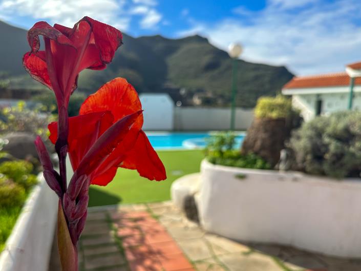 Image No.25-3 Bed Finca for sale