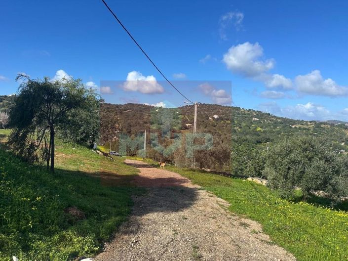 Image No.40-2 Bed House for sale