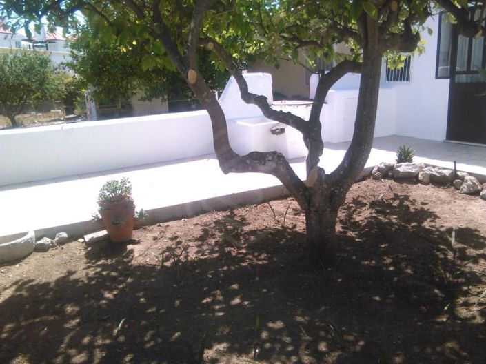 Image No.24-4 Bed House for sale