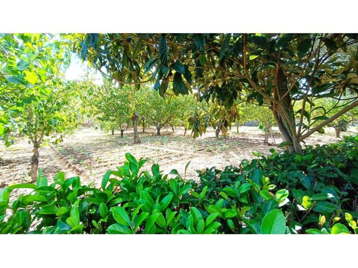 Image No.7-5 Bed House for sale