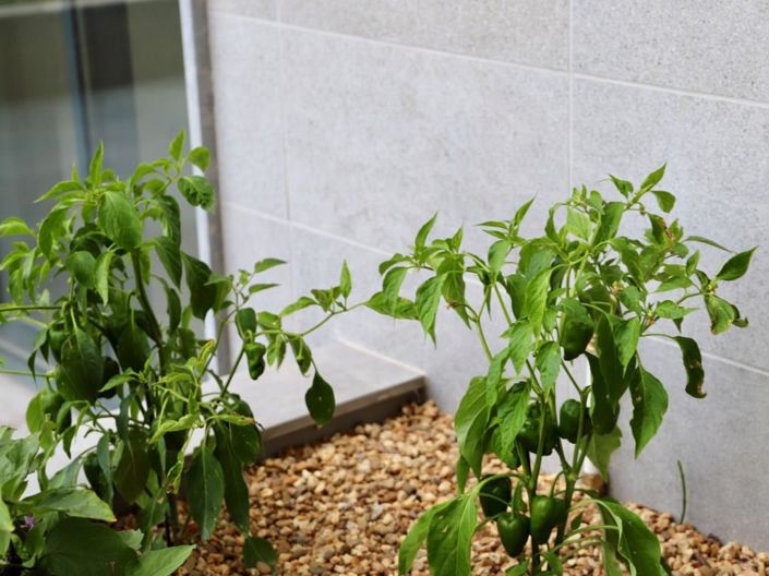 Image No.27-4 Bed Apartment for sale