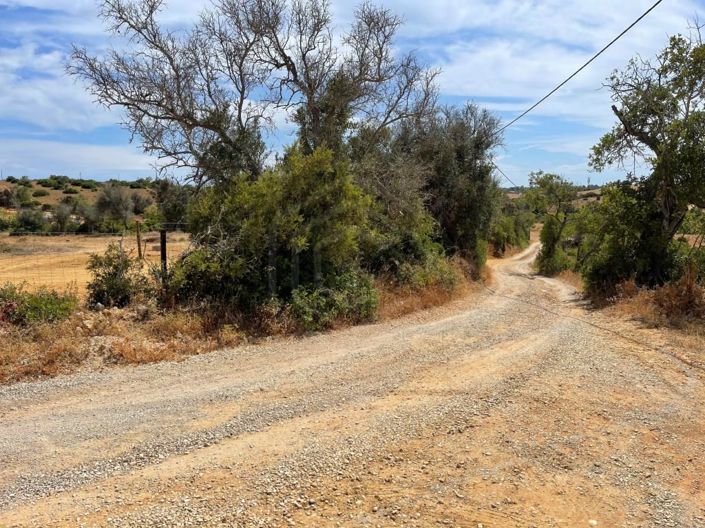 Image No.12-3 Bed House for sale