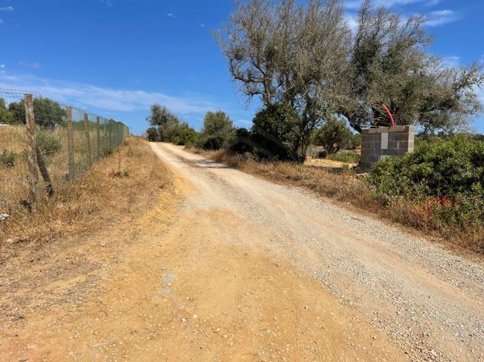 Image No.13-3 Bed House for sale