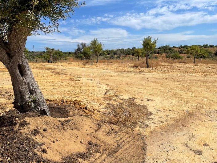 Image No.18-3 Bed House for sale