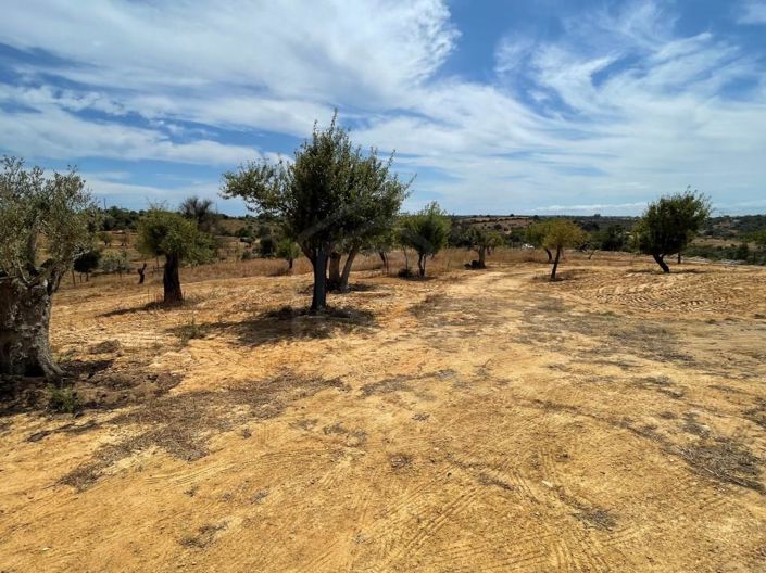 Image No.27-3 Bed House for sale