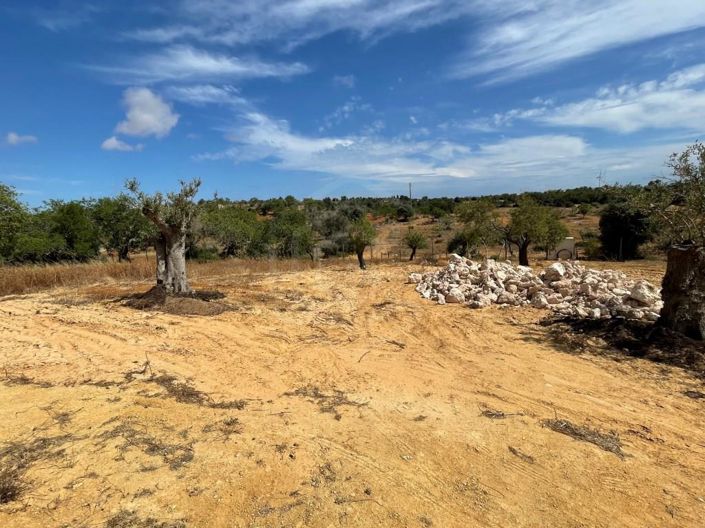 Image No.28-3 Bed House for sale