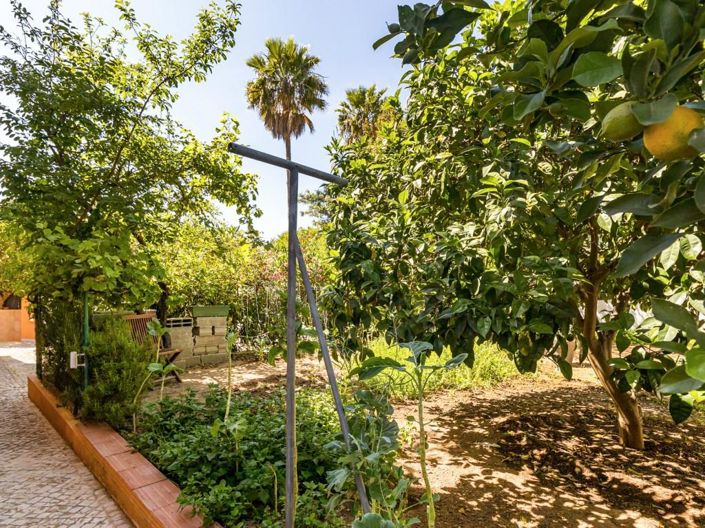 Image No.24-4 Bed House for sale